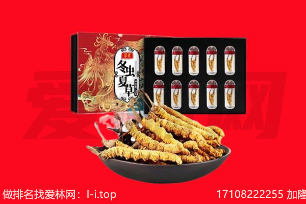 乐山市马边回收虫草.jpg